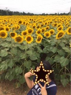 ɖ߂
