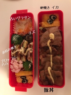 ЉȌw ٓ